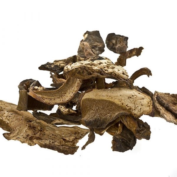 dried moral mushrooms