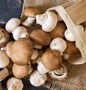 dried porcini mushrooms woolworths