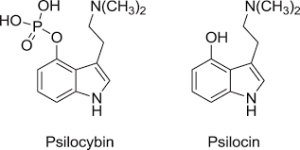 psilocybin